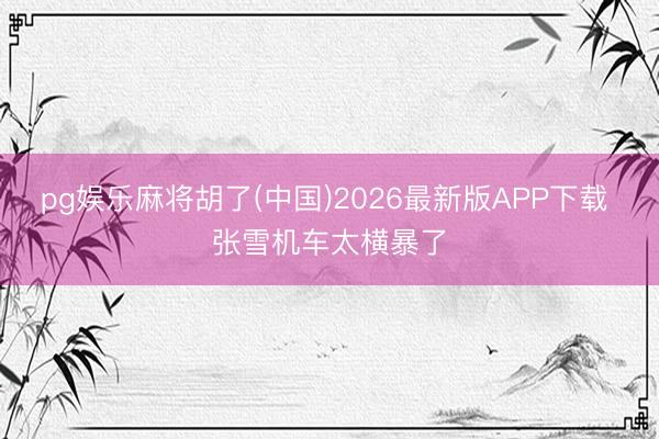 pg娱乐麻将胡了(中国)2026最新版APP下载 张雪机车太横暴了