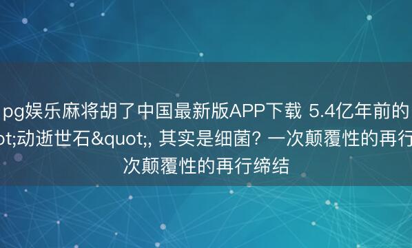 pg娱乐麻将胡了中国最新版APP下载 5.4亿年前的"动逝世石"， 其实是细菌? 一次颠覆性的再行缔结