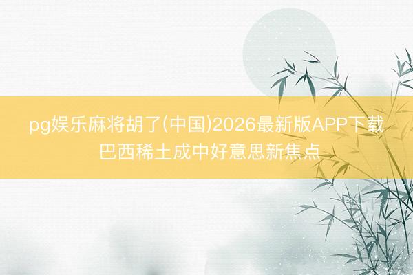 pg娱乐麻将胡了(中国)2026最新版APP下载 巴西稀土成中好意思新焦点