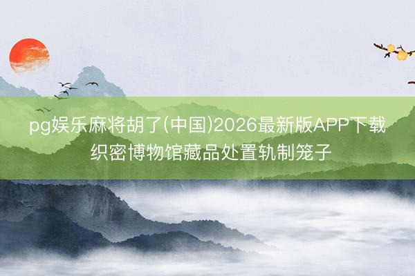 pg娱乐麻将胡了(中国)2026最新版APP下载 织密博物馆藏品处置轨制笼子
