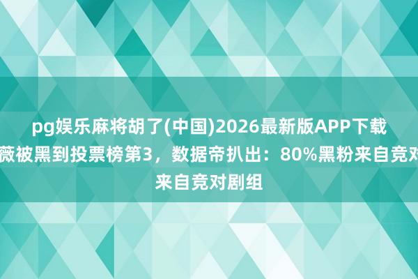 pg娱乐麻将胡了(中国)2026最新版APP下载 田曦薇被黑到投票榜第3，数据帝扒出：80%黑粉来自竞对剧组